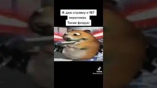 Мемасик из тик тока.