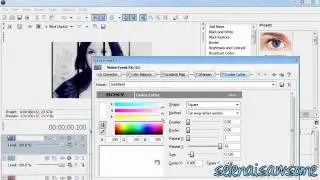 Sony Vegas Tutorial ★ Effect # 70