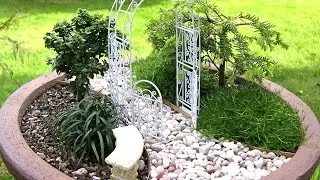 минисад в горшке