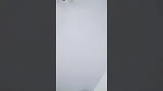 19 мая 2024 г.