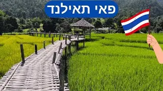 פאי תאילנד, העיירה הקסומה פאי שבצפון תאילנד!
