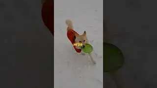 Игра на❤️ свежем воздухе