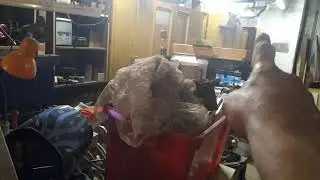 26 октября 2020 г.