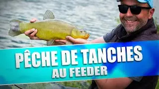 FEEDER FISHING - TENCHES