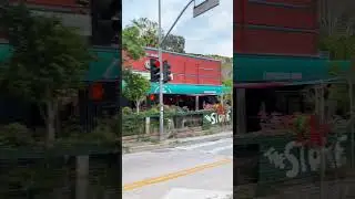 🎥: Laurel Canyon, Jim Morrison’s old stomping grounds.