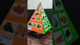 food pyramid | balance diet 