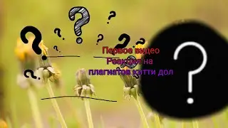 РЕАКЦИЯ НА ПЛАГИАТОВ КИТТИ ДОЛЛ 1/1