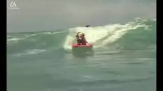 DOGS SURFING  - EPIC no owner surfing dogs