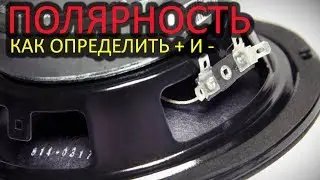 Как определить полярность динамика или как найти + и -. Видео для галочки)