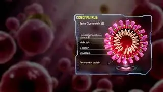 Medical Animation Coronavirus Structure 200130