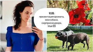 Vlog: презентация аромата, прогулки, мои собаки, сюрприз во дворе. Май’23 #leonawithcoffee