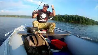 Бешеный клев Окуня