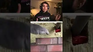 Tuğla İşçileri vs Turgut Ekim