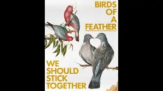 Birds  of a Feather- Piano Cover- Music Sheets