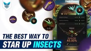 The Best way to Star Up Insects - The Ants Underground Kingdom [EN]