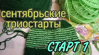 Триостарты сентября// Старт 1// Участник 16// Носки - следки методом 