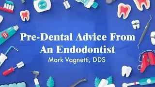 Advice For Pre-Dental Students From An Endodontist | Mark Vagnetti, DDS