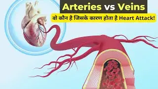 Arteries Vs Veins | What Is the Difference Between Veins and Arteries? (in Hindi)