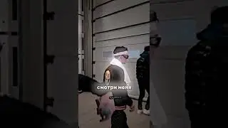 GAYAZOV$ BROTHER$