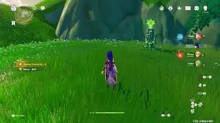 Genshin Impact PS5 - Dendro totem puzzle solution
