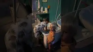 15 августа 2024 г.
