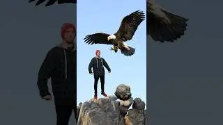🤔HOW TO SURVIVE AN EAGLE ATTACK🦅