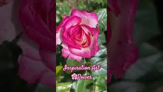 Inspiration Art🌸 #beutifull #spirit #spirituality #art #flower #flowers #nature #artwork #freude