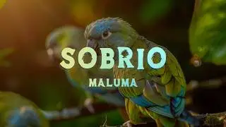 Maluma - Sobrio (Lyrics/Letra)