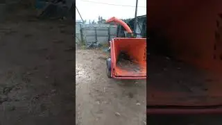 Аренда измельчителя веток, дробилка древесины Рощино, Зеленогорск, Ильичёво