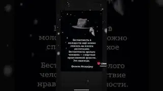 Бестактность