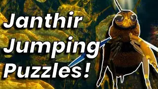 Conquer Two Janthir Jumping Puzzles for BIG Rewards!