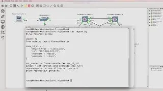 Python network automation, BGP and IOS regular expressions (regex). Search output (Part 2).