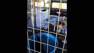 shelter fun