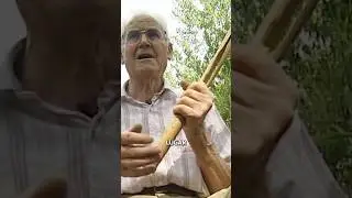 #SHORT | CARRACLA hecha únicamente con una CAÑA silvestre (Vídeo completo en mi canal)