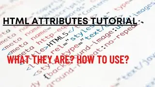 HTML Attributes Tutorial - What They Are & How To Use?