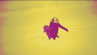 Это видео сводит людей с ума
