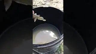 Эта Рыбалка побила все рекорды