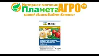 💉Краткий обзор на Изабион 