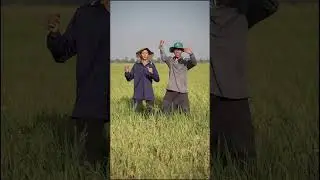 Nghèo khó quá nên hỏng có tiền mua quần #shorts #tiktok