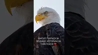 Хватит! #психология #состояние #катеринатоцкая #тоцкая #психотерапия