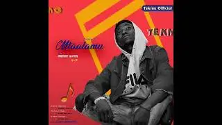 Mtaalamuu by tekmo  (official audio music /ep )