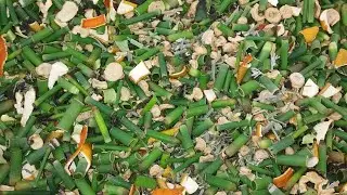 Como Fazer Mix de Chá Para Chimarrão 😋