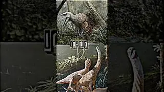Utahraptor VS Saltriovenator #dinosaur #raptor #prehistoric #whoisstrongest #shorts #trending