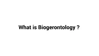 What is Biogerontology ?