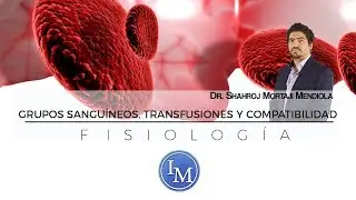 Physiology | Blood Types | Transfusions and Compatibility