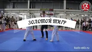 Золотой Тигр 2017 Лучшие моменты