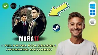 How to Fix Mafia 2 PhysX SDK Not Initialized Error on PC (2025 Guide)