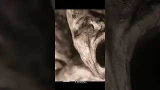 Inarius Death hit hard from back 