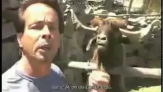 Talking goat (with subtitles)