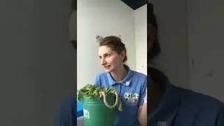Запуск речи у малышей на грядке